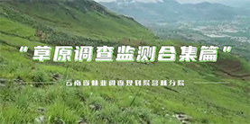 2022年林草濕調(diào)查監(jiān)測(cè)草原樣地調(diào)查紀(jì)錄